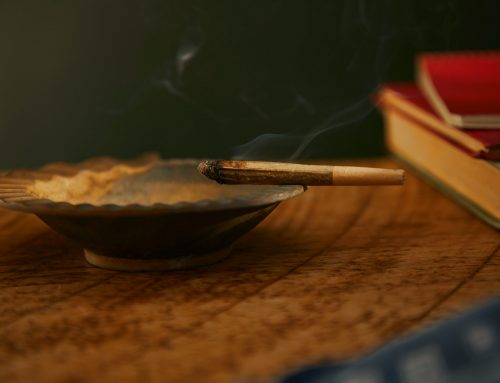 Cannabis, Legalisierung und die Gleichbehandlung von Alkohol